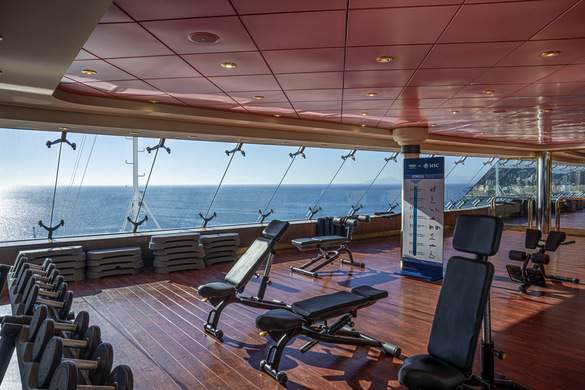 MSC Cruises MSC Orchestra, Gym by TechnoGym® 2 ©MSC Rights - Ivan Sarfatti.jpg